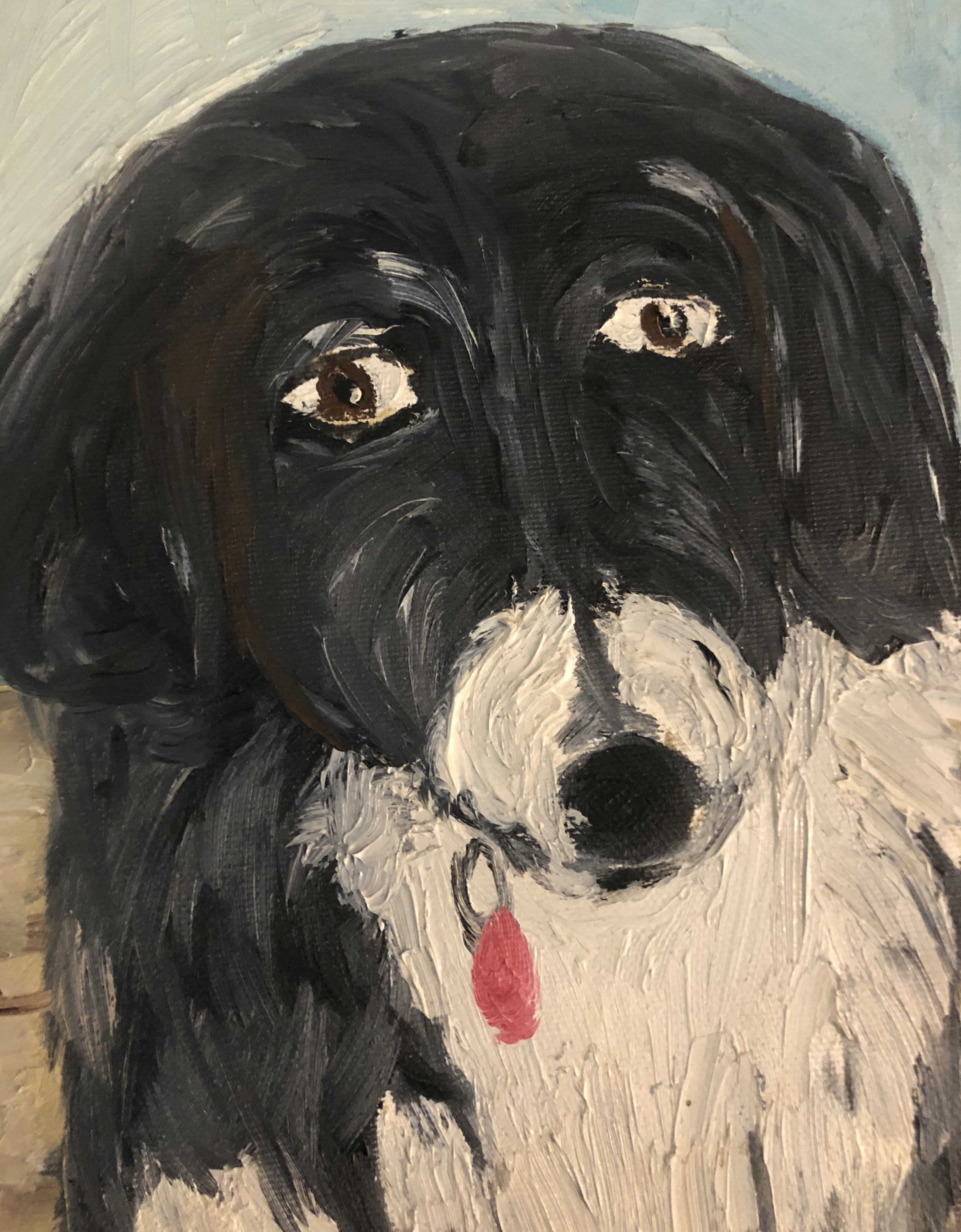 Sol LeWitt's Dog by Artist Eric Ginsburg