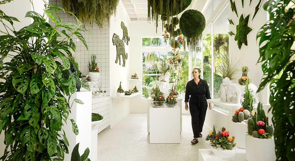 The Spanish Moss Sanctuary