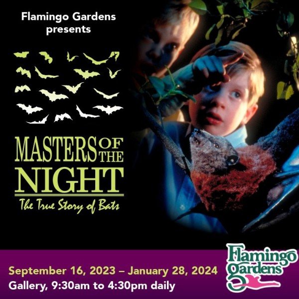 Flamingo Gardens Presents: "Masters of the Night:  The Truth About Bats"