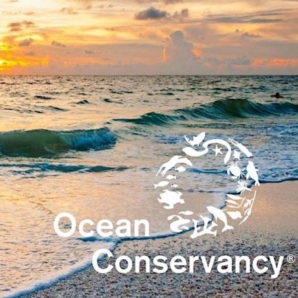 Ocean Conservancy Beach Clean Up
