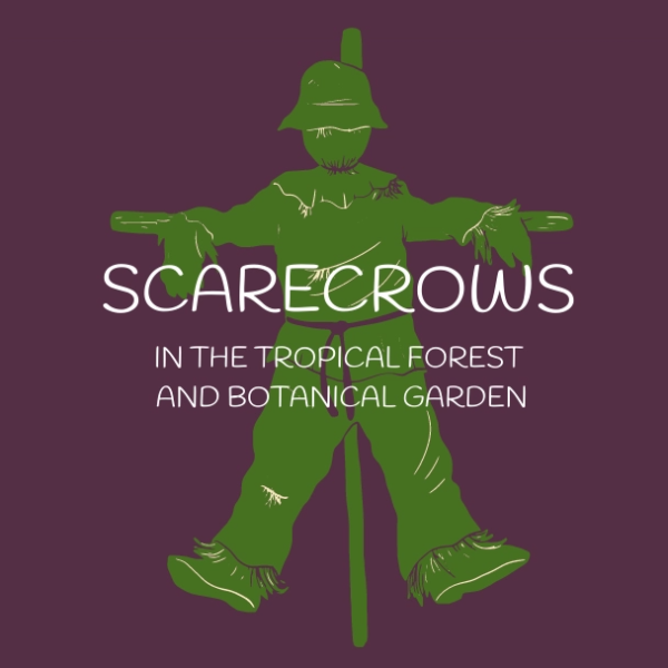 Scarecrows in the Forest