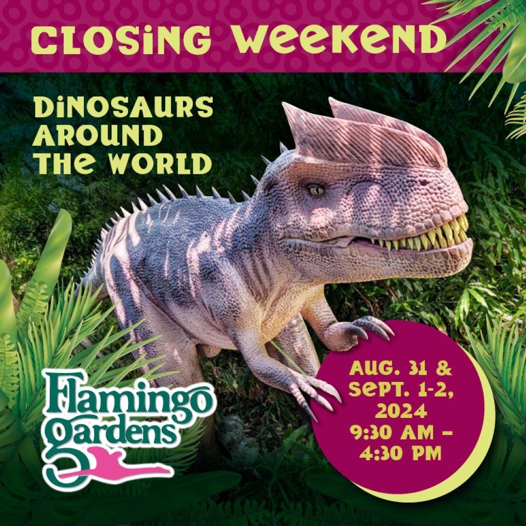 Dinos Closing/Labor Day Weekend at Flamingo Gardens