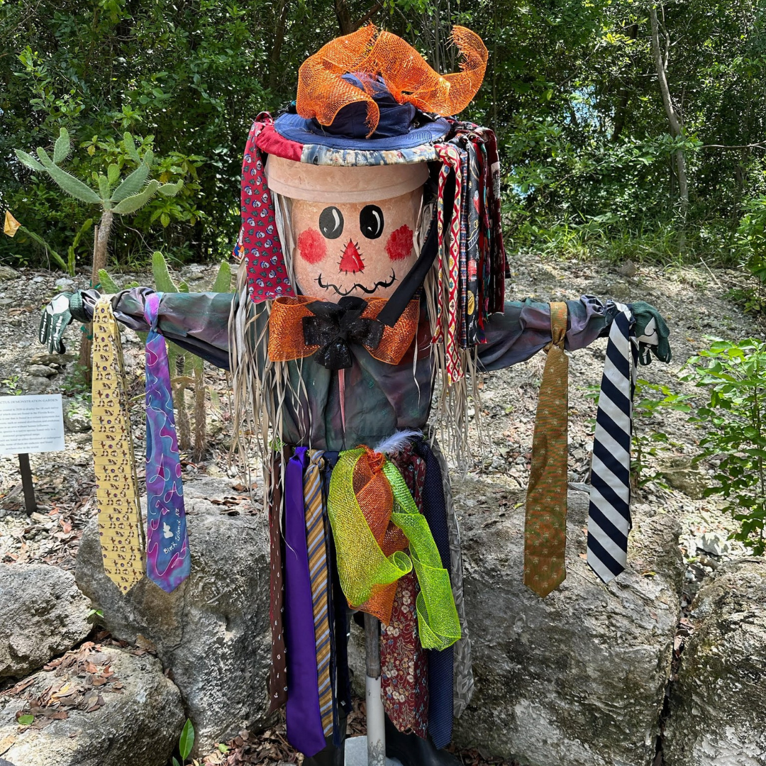 Scarecrows In Garden 