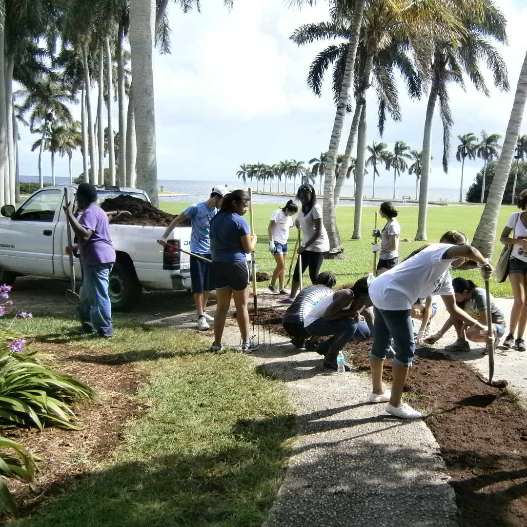 Community Action Days