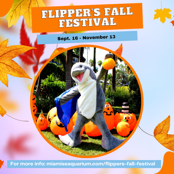 Flipper's Fall Festival