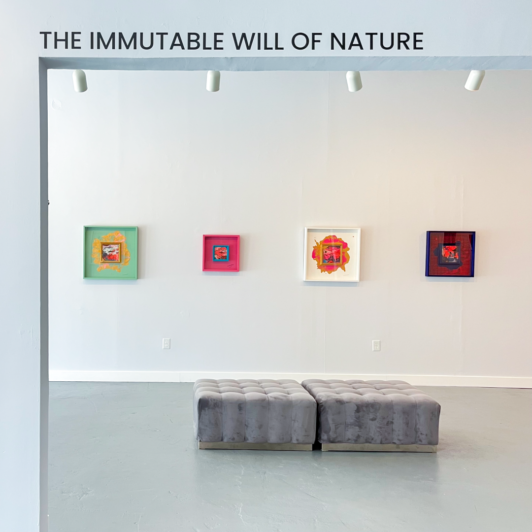 Gallery Exhibition: The Immutable Will of Nature