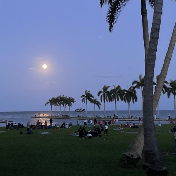 Moon Viewing at Deering Estate - January 2024