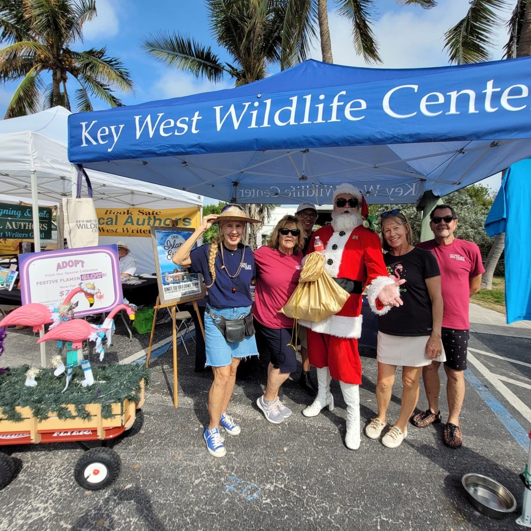 Key West Artisan Market: For the Birds Edition