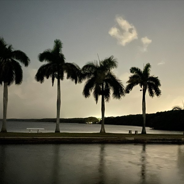 Dark Sky Kayak Trip at Deering Estate