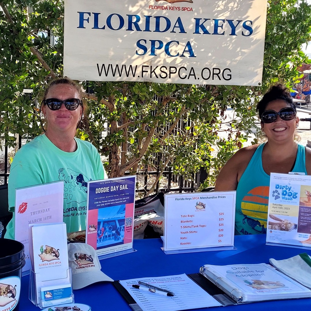 Key West Artisan Market: Gone to the Dogs Edition