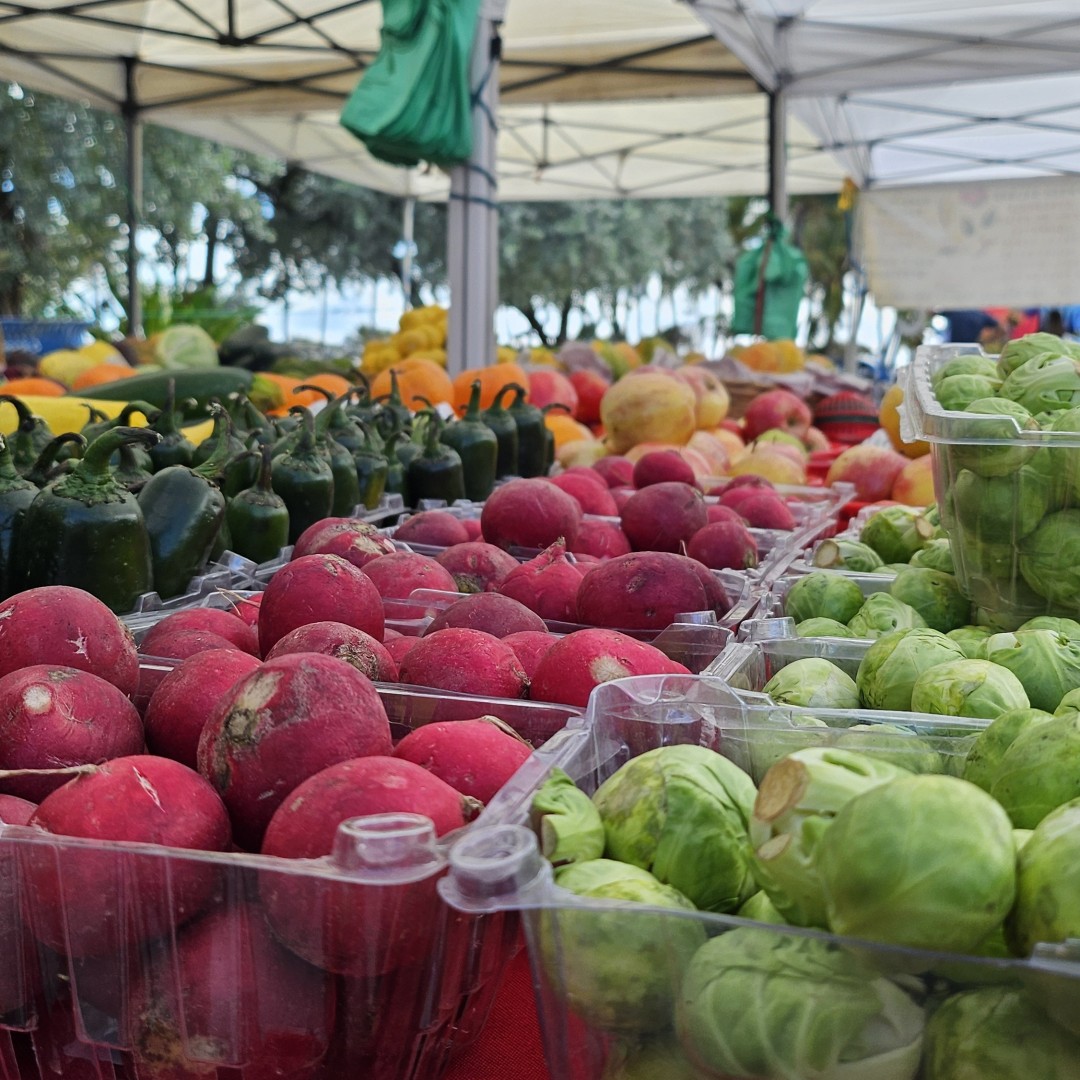 Key West Artisan Market: Don't Be Trashy Edition