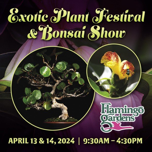 Flamingo Gardens' Annual Exotic Plant Festival & Bonsai Show