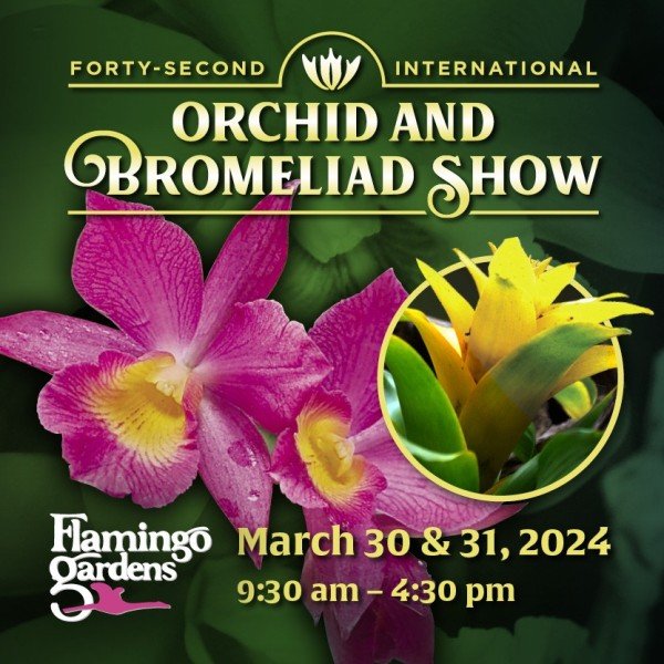 Flamingo Gardens' 42nd International Orchid & Bromeliad Show
