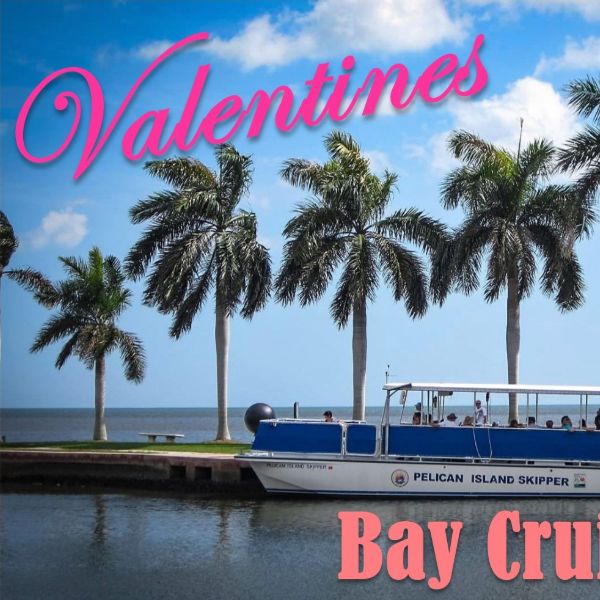 Valentines Bay Cruise at Deering Estate