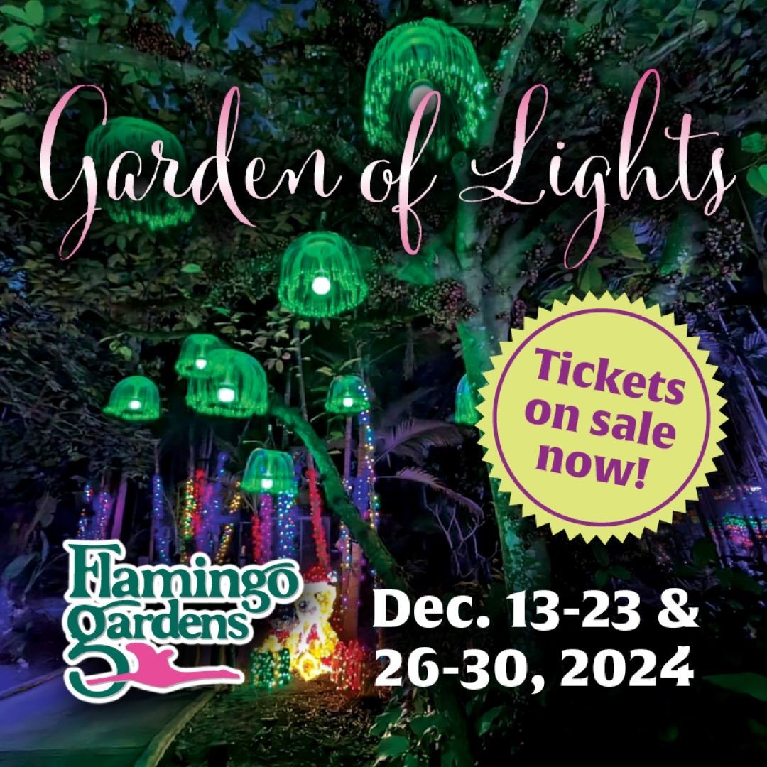 Garden of Lights at Flamingo Gardens