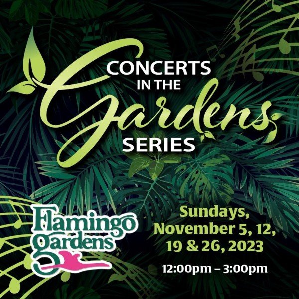 Flamingo Gardens November Sunday Concert Series