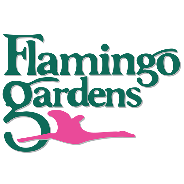 Flamingo Gardens 41st International Orchid & Bromeliad Show