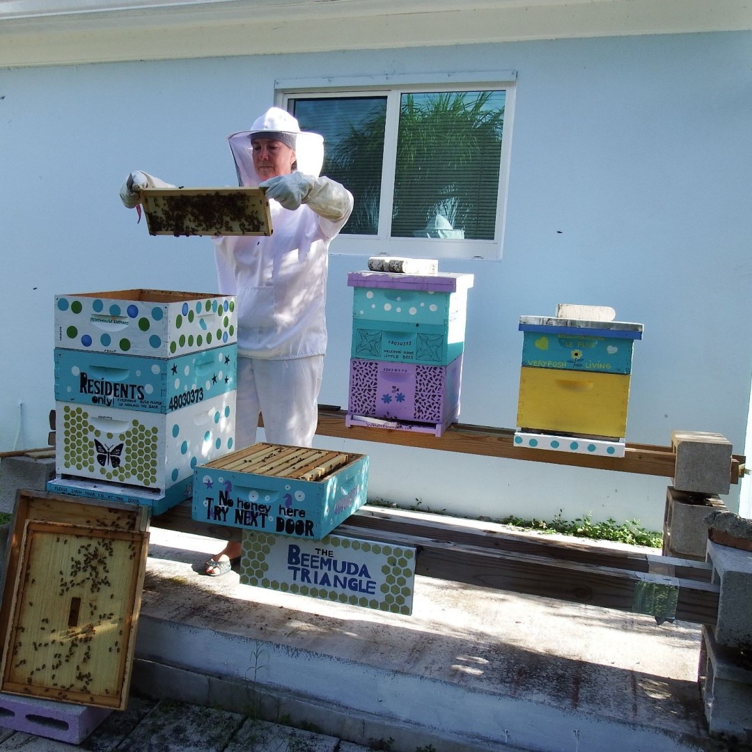 Is Bee Keeping Right for You? Is Beekeeping Right for You? With Joanna Diamond