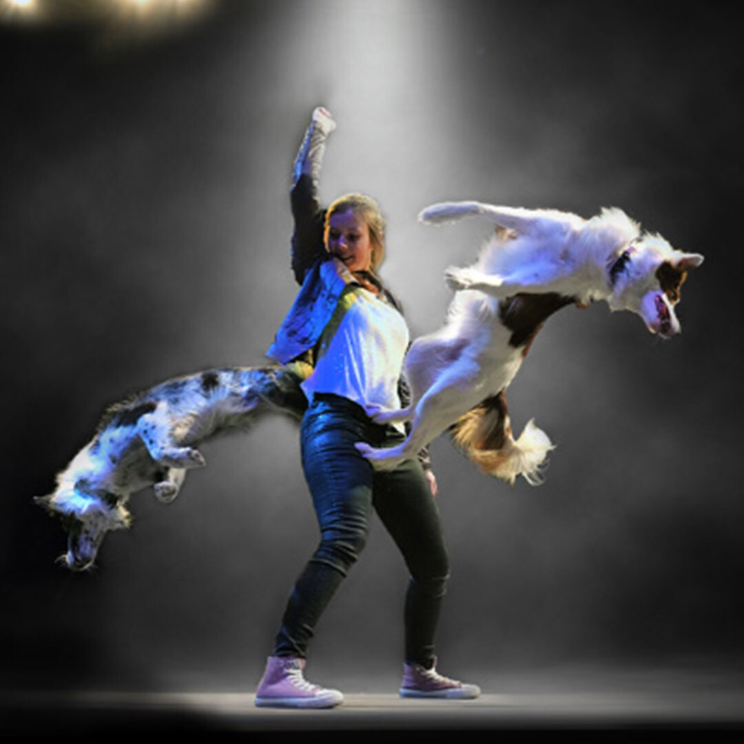 Mutts Gone Nuts – Unleashed!