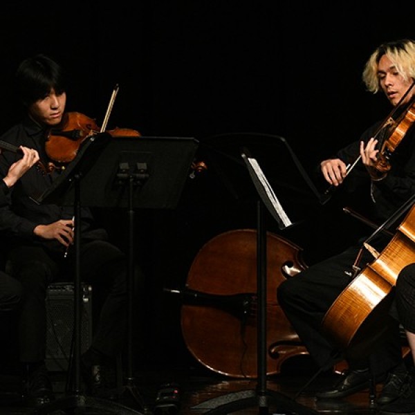 COLLEGE CHAMBER ORCHESTRA CONCERT