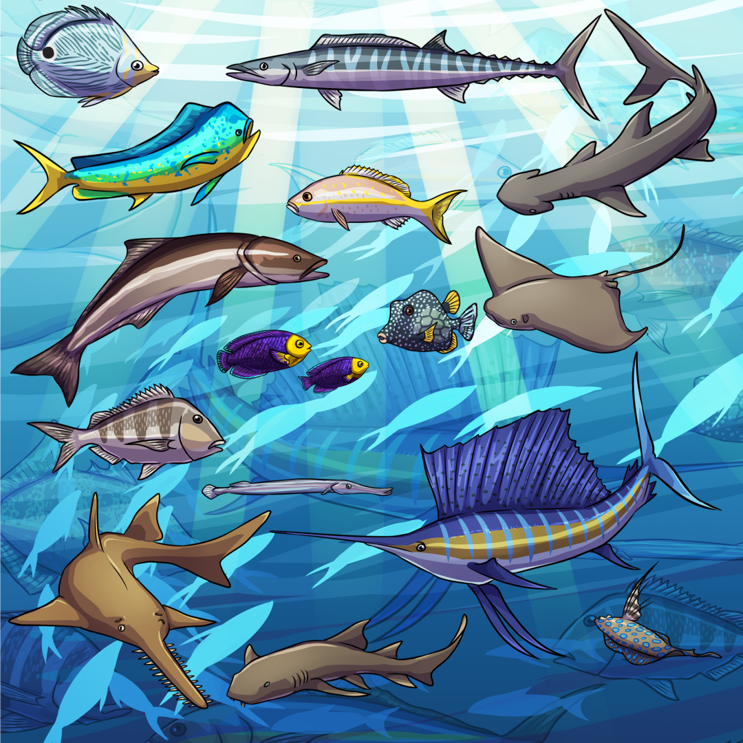 Dive Into Art: Fintastic Fish of Florida